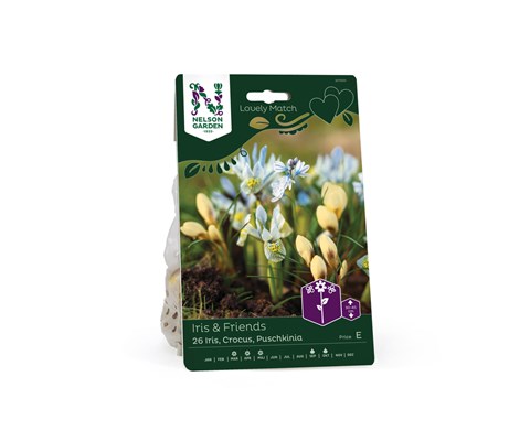 Høstløk Iris & Friends