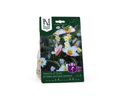 Høstløk blanding Hearts of Gold