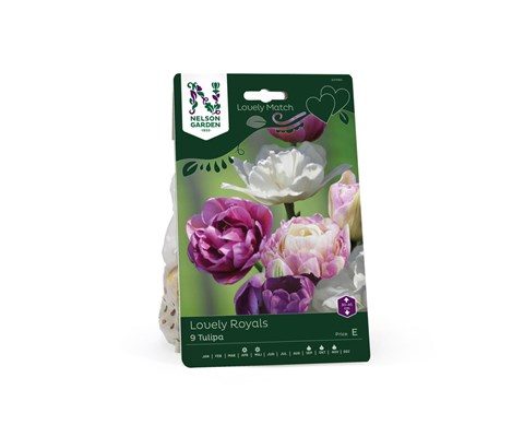 Høstløk tulipan Lovely Royals