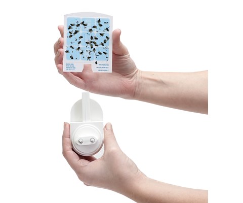 Fluefelle DOT DT3005W