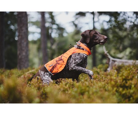 Halsbånd Safe orange
