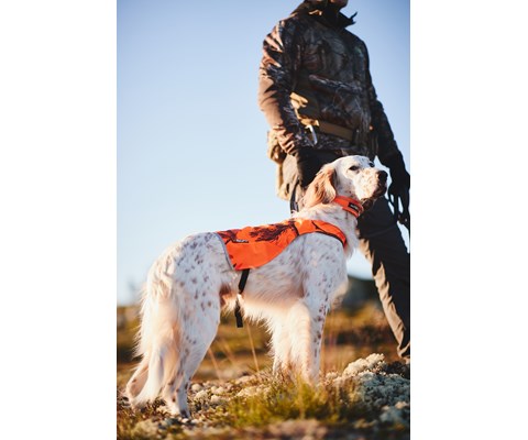 Halsbånd Safe orange