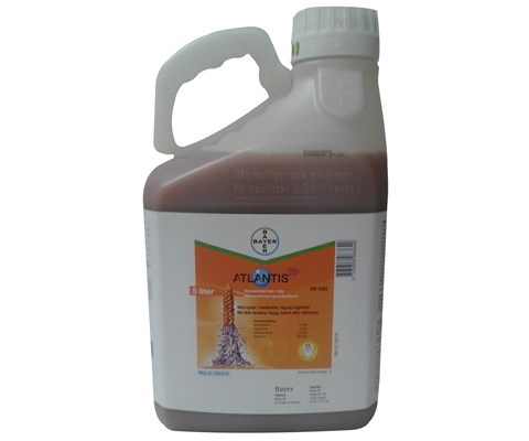 Atlantis OD 5 L