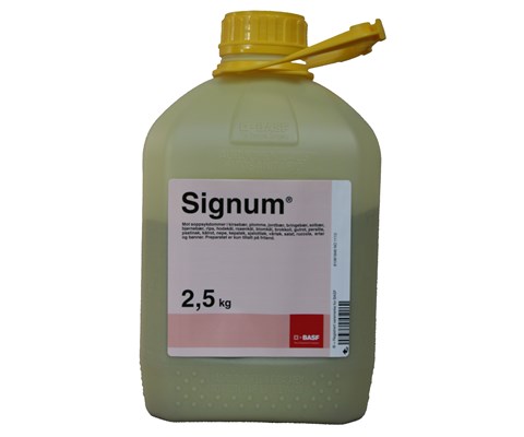 Signum 2,5 kg