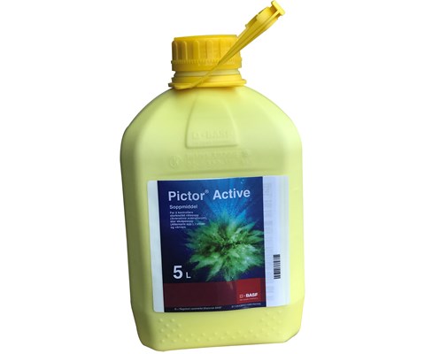 Pictor Active 5 L