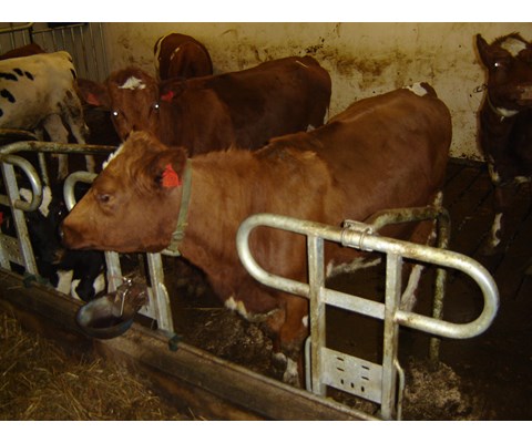 DeLaval TUF10 Kortbåsinnredning