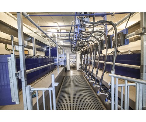 Parallellstall til geit