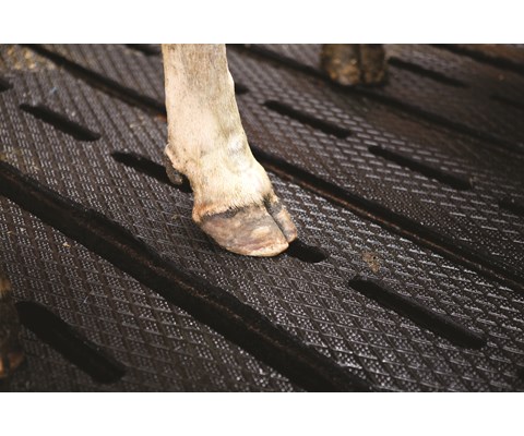 Gummimatter på spalt SFC