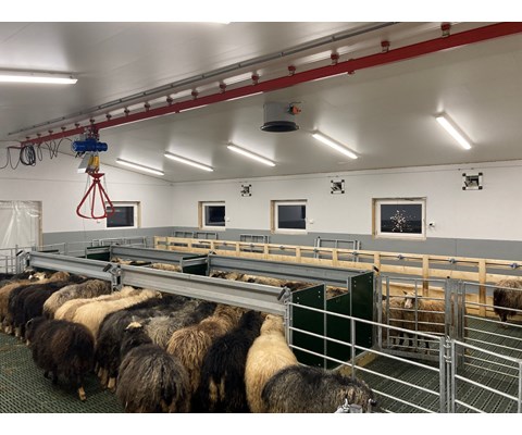 Talje 1500 kg 12 m høyde