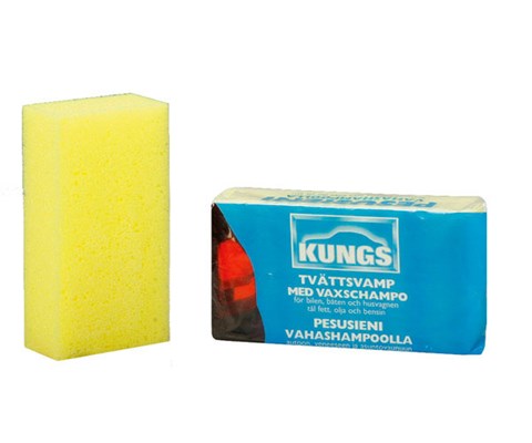 Vaskesvamp med shampoo