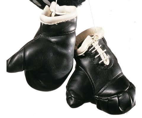 Mini boksehansker til bilen