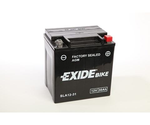 MC batteri AGM 12-31