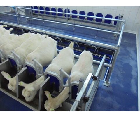 Fast stall med kaskadefront