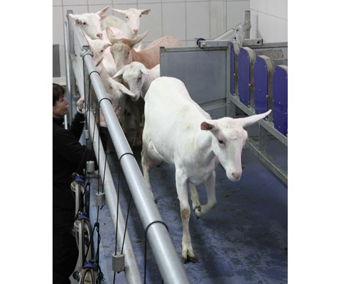 Fast stall med kaskadefront