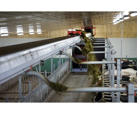 FeedBelt bandutforing