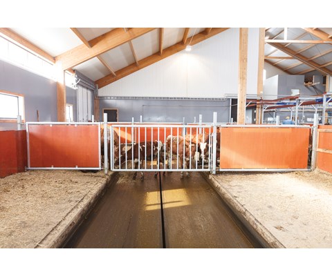 Skillegitter for storfe