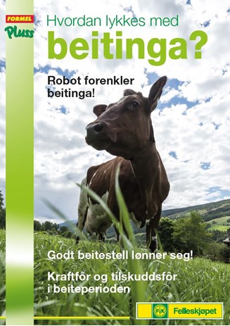 Hvordan lykkes med beitinga