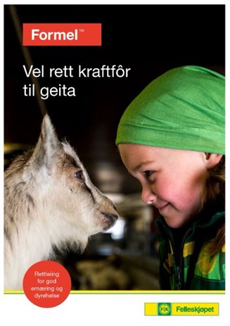 Velg rett kraftfôr til geita