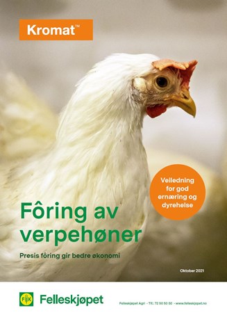 Fôring av verpehøner