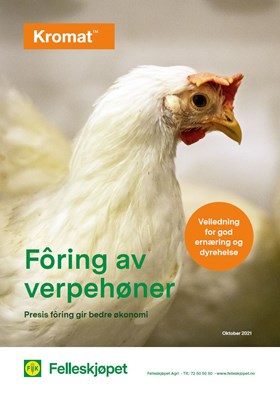 Fôring av verpehøner