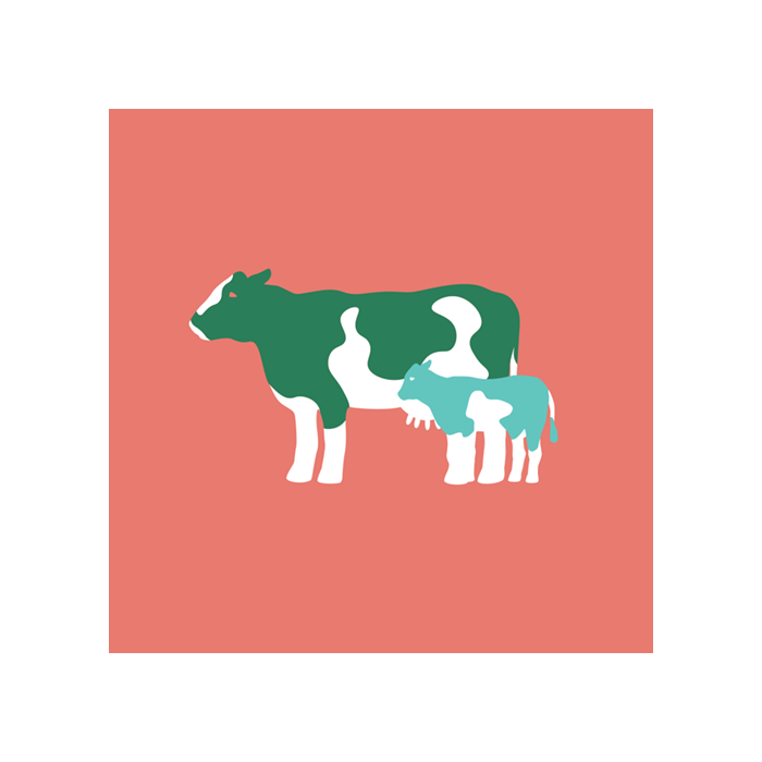 Pluss tilskuddsfôr storfe