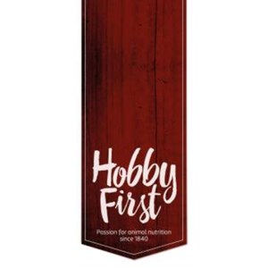 Hobby First