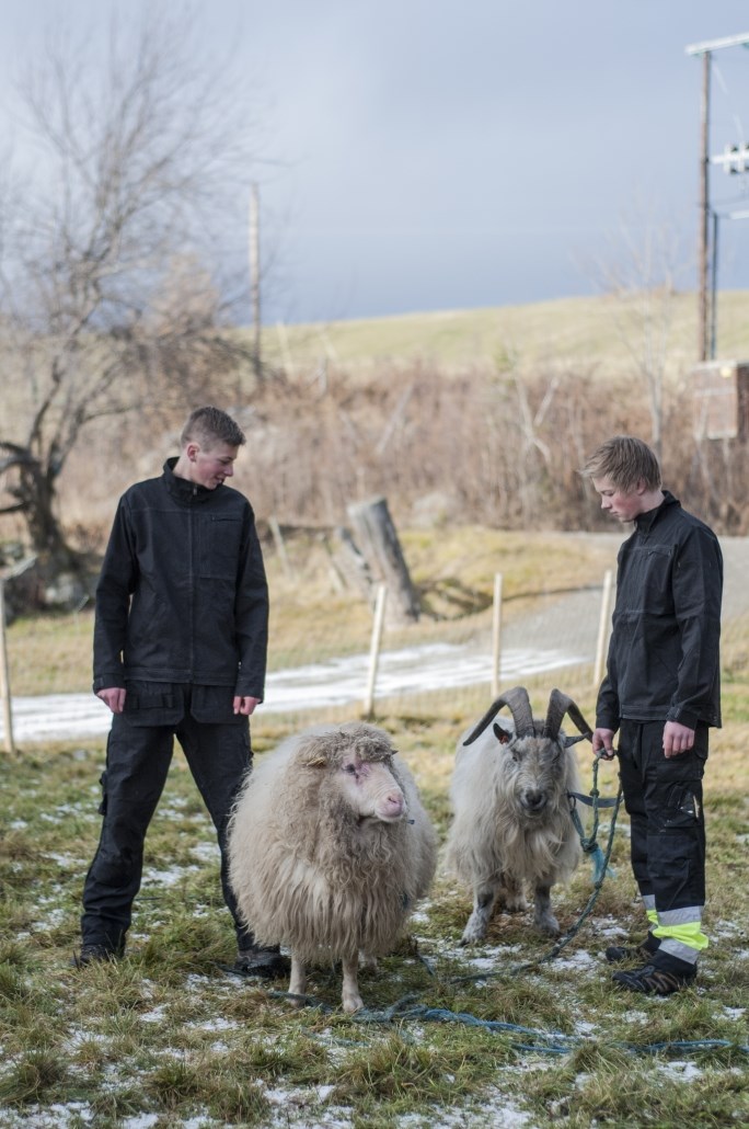 Gard Bukse varsel kl. 1 | Felleskjøpet Agri Gard Bukse varsel kl. 1 | Felleskjøpet Agri