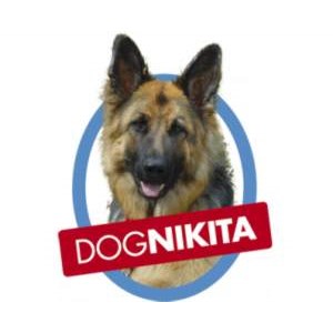 Dognikita