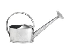 Vannkanne Zink 5 ltr