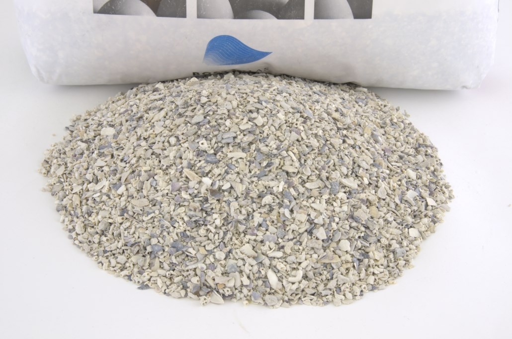 Skjellsand bergen